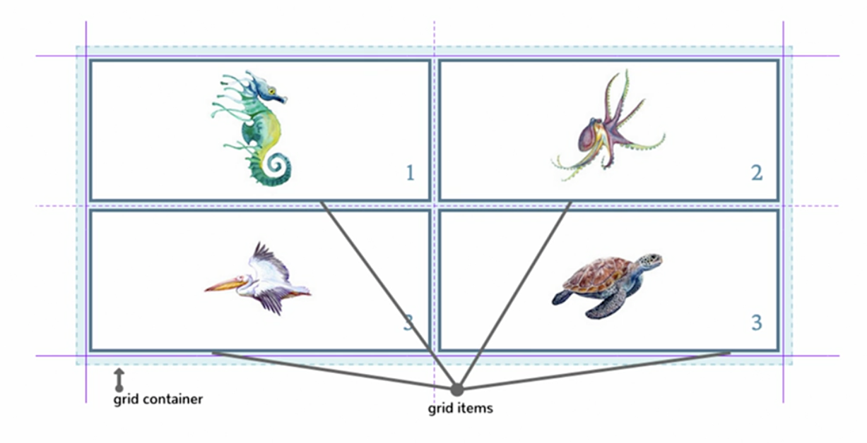 45.12 CSS Grid and Flexbox-20240817121551796.webp|600